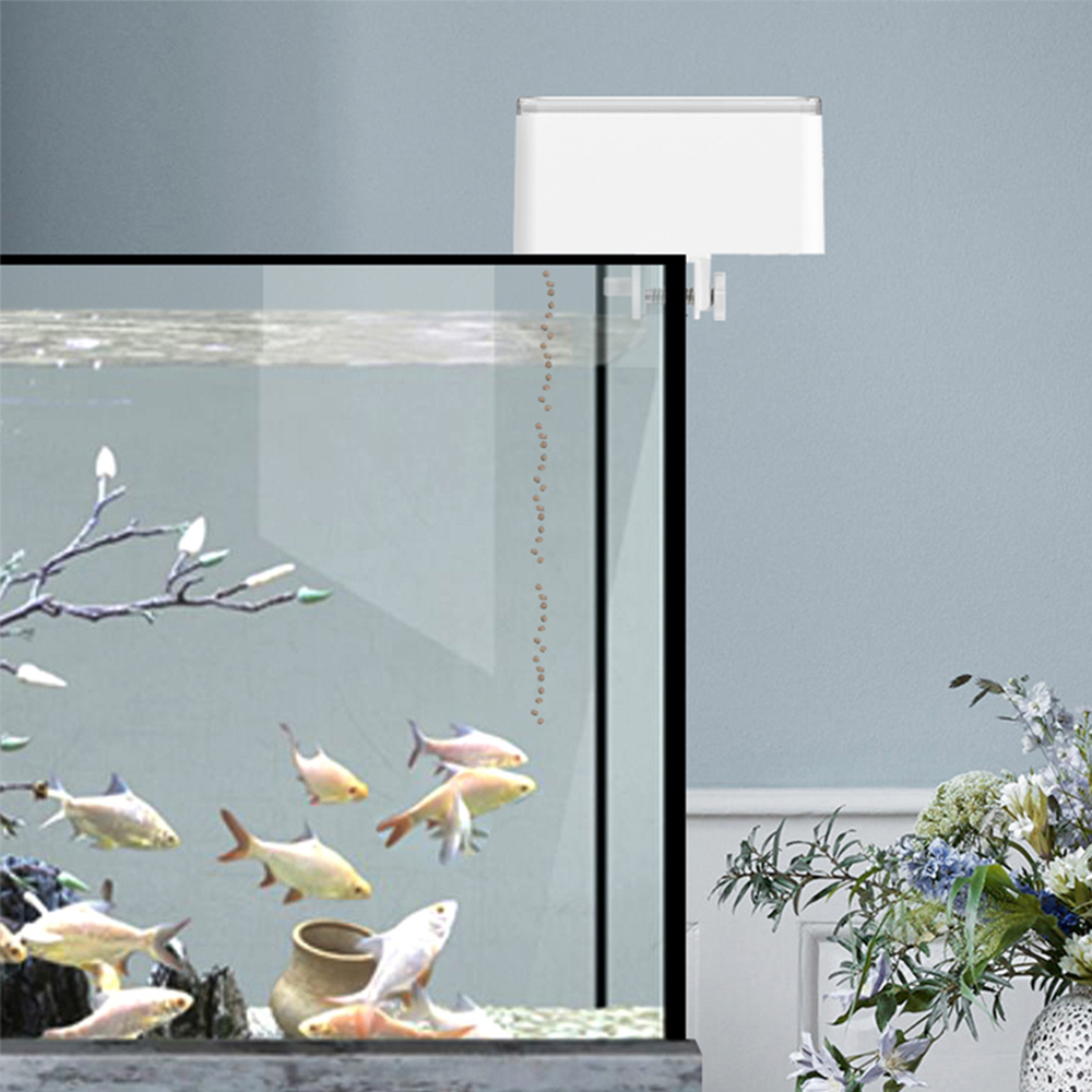 Small Fish Automatic Feeder Sm - Fishing Line Dispenser recensione e prezzo