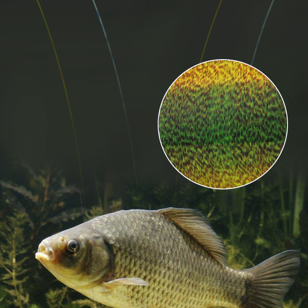 FTK 300M Invisible Fishing Lin - Fluorocarbon Line recensione e prezzo